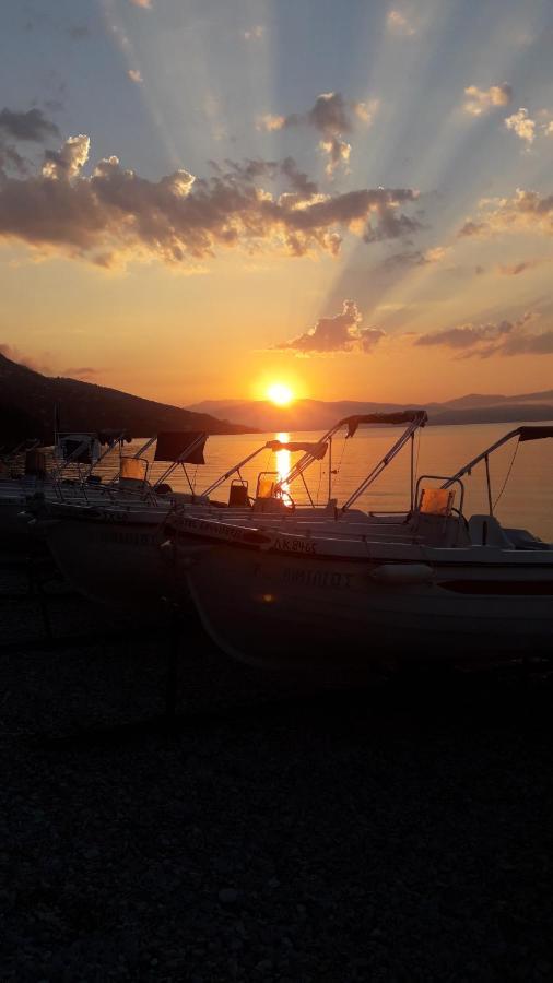 בארבאטי Vasiliki See View Apartments מראה חיצוני תמונה